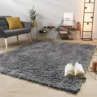 TT Home Tapijt Woonkamer Diepe Pool Lange Pool Zacht Modern Monochroom Design