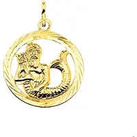 Trendjuwelier huiscollectie Bedel Sterrenbeeld Waterman Gediamanteerd Goud