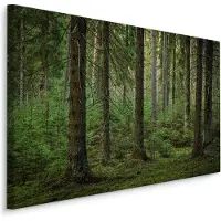 Karo-art Schilderij - Het Bos, Groen, 5 maten, Premium Print