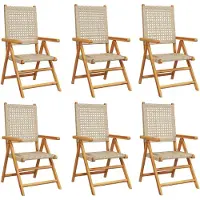 vidaXL Tuinstoelen 6 st poly rattan en massief hout beige