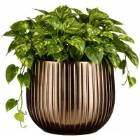 Mica Decorations Bloempot Pablo - 25x25x20 cm - Keramiek - Bronze