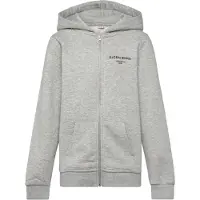 Björn Borg Essential 1 Zip Hoodie Grijs | Maat: 170
