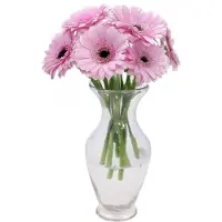 DK Design Bloemenvaas Mira - trompet vaas - transparant glas - D18 x H37 cm - Vazen