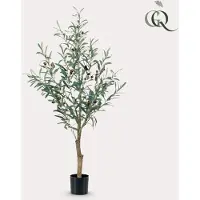 Green Boutiq Kunst Olijfboom - Olea Europaea - Olijfboom - 115 cm