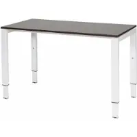 Schaffenburg Verstelbaar Bureau - Domino 120x60 logan - wit frame