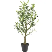 PrettyPlants Kunst Olijfboom 80cm | Olijf Kunstplant | Kleine Neppe Olijfboom | Kunstplant voor Binnen | Valse Olijfboom