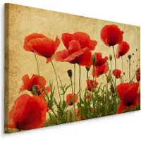 Karo-art Schilderij - Vintage klaprozen veld, premium print