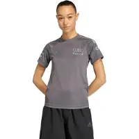 Adidas Functioneel shirt 'Audi Formula One Team Driver' grijs / donkergrijs / zilver