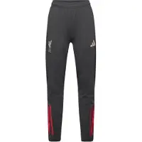 Adidas Sportbroek 'FC Liverpool Tiro 25 Competition' antraciet / rood / wit