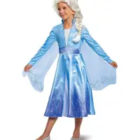 Disguise Disney Acc Frozen Elsa Wig Costume Blauw Kinderen