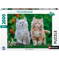 Nathan legpuzzel Siberische Kittens 2000 stukjes puzzel volwassenen.