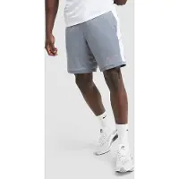 Nike Academy Shorts, grijs