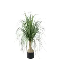 Ptmd collection PTMD Kunstboom Coconut - 60x75x98 cm - Polyester - Groen