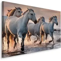 Karo-art Schilderij - Kudde schimmels in de zee, prachtige wanddecoratie in premium print kwaliteit