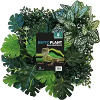 Aquadistri Repto plant achterwand mat 25x25 cm 3 Repto