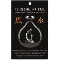 Ruben Robijn Feng shui raamhanger maan 1st -
