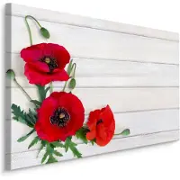 Karo-art Schilderij - Rode klaprozen op wit hout (print op canvas), premium print