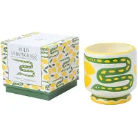 PADDYWAX - Geurkaars A Dopo Snake - wild lemongrass - keramiek 227 gr.