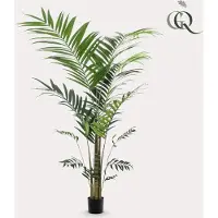 Green Boutiq Kunstplant - Kentia -Kentiapalm - 210cm