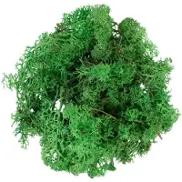 My Village Rendiermos groen 500g