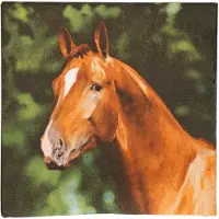 Esschert Design papieren servetten - 20x - paard - 33 x 33 cm