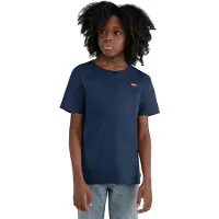 Levi's T-shirt BATWING CHEST HIT kind 6 jaar