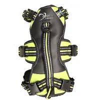Axaeco Broad Peak Harness Maat XL 90-131cm