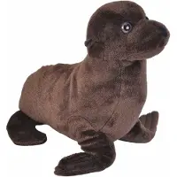 Sonstige Verlage Knuffel Zeeleeuw Junior 38 Cm Pluche Bruin
