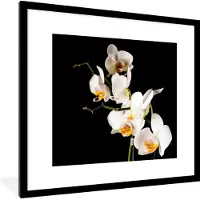 PosterMonkey Fotolijst incl. Poster - Orchidee - Bloemen - Planten - Botanisch - 40x40 cm - Posterlijst