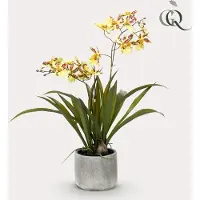 Green Boutiq Kunstplant - Orchidee - Geel - 45cm