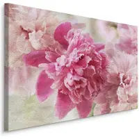 Karo-art Schilderij - Prachtige roze rozen, eyecatcher in uw huis, wanddecoratie