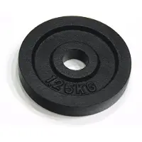 Rs Sports Halterschijven l 2 x 1.25 kg