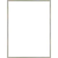 Homedecoration Almelo – Fotolijst – Fotomaat – 20 x 73 cm – Chroom