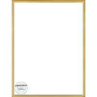 Homedecoration Almelo – Fotolijst – Fotomaat – 41 x 50 cm – Vintage Goud