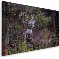Karo-art Schilderij - Jong Hert tussen de Bosvegetatie, Premium Print