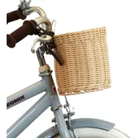 Zonix Kinderfiets 14 Inch Jongensfiets – Grijs Met Zijwieltjes – Leeftijd 3-5 Jaar – Kledingmaat 98-108
