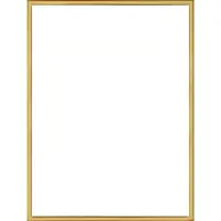 Homedecoration Almelo – Fotolijst – Fotomaat – 55 x 88 cm – Vintage Goud