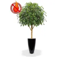 Maxifleur Kunstplanten Ficus Exotica Giant kunstboom 290cm - FR - brandvertragend