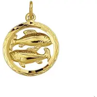 The Jewelry Collection Hanger Sterrenbeeld Gediamanteerd 14K Geelgoud