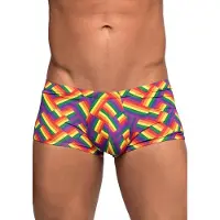 Male Power - Pride Short