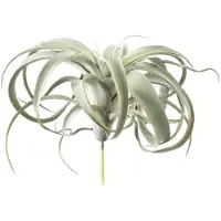 Ptmd collection PTMD Kunstplant Tillandsia - 18x24x25 cm - Polyester - Groen