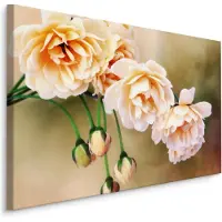 Karo-art Schilderij - Bloeiende Rozen en knoppen, Roze, Premium Print