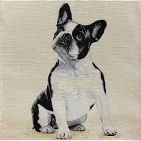 Emme Kussenhoes - 1 French Bulldog - Hond - Gobelin