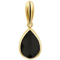 The Jewelry Collection Geelgouden Hanger onyx 4022346