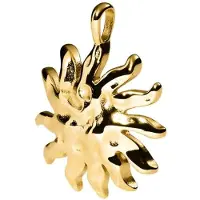 Purelei Hangers 'Iconic Sun' goud