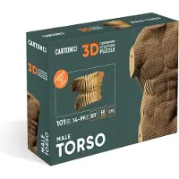 Cartonic - 3D Sculptuur Puzzel Mannentorso