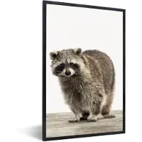 PosterMonkey Poster in fotolijst kind - Wasbeer - Dieren - witte achtergrond -Jongens - Meisjes - Kinderen - Wanddecoratie kinderkamers - 60x90 cm - Kinder decoratie - Poster kinderkamer - Muurdecoratie
