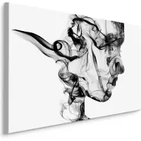 Karo-art Schilderij - abstracte vrouw uit rook, zwart/wit, 4 maten, wanddecoratie