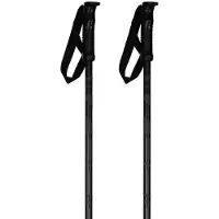 Elan skipole hotrod black skistokken heren -