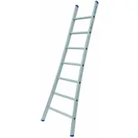 Solide Enkele Ladder 7 sporten